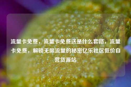 流量卡免费，流量卡免费送是什么套路，流量卡免费	，解锁无限流量的秘密亿乐社区低价自营货源站  第1张
