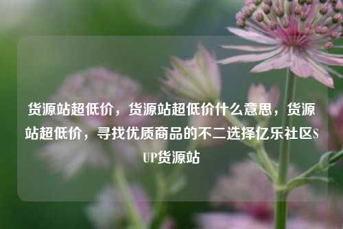 货源站超低价	，货源站超低价什么意思，货源站超低价，寻找优质商品的不二选择亿乐社区SUP货源站  第1张