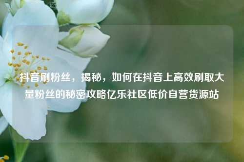 抖音刷粉丝，揭秘	，如何在抖音上高效刷取大量粉丝的秘密攻略亿乐社区低价自营货源站  第1张