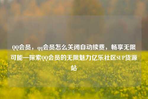 QQ会员，qq会员怎么关闭自动续费	，畅享无限可能—探索QQ会员的无限魅力亿乐社区SUP货源站  第1张