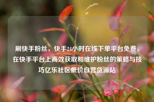 刷快手粉丝	，快手24小时在线下单平台免费，在快手平台上高效获取和维护粉丝的策略与技巧亿乐社区低价自营货源站  第1张
