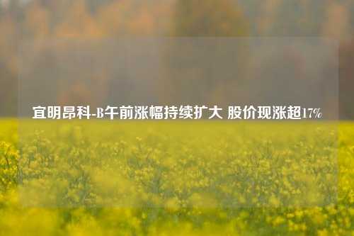 宜明昂科-B午前涨幅持续扩大 股价现涨超17%  第1张