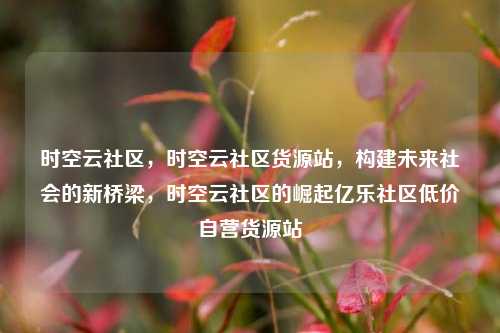 时空云社区	，时空云社区货源站，构建未来社会的新桥梁，时空云社区的崛起亿乐社区低价自营货源站  第1张