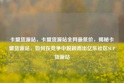 卡盟货源站	，卡盟货源站全网最低价，揭秘卡盟货源站，如何在竞争中脱颖而出亿乐社区SUP货源站  第1张