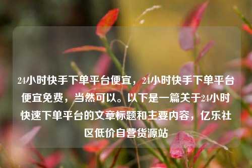 24小时快手下单平台便宜，24小时快手下单平台便宜免费	，当然可以。以下是一篇关于24小时快速下单平台的文章标题和主要内容，亿乐社区低价自营货源站  第1张
