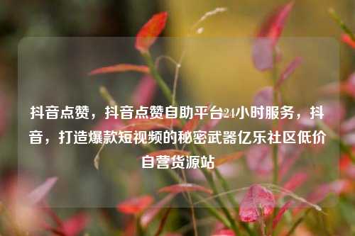 抖音点赞，抖音点赞自助平台24小时服务，抖音	，打造爆款短视频的秘密武器亿乐社区低价自营货源站  第1张