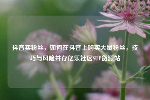 抖音买粉丝	，如何在抖音上购买大量粉丝，技巧与风险并存亿乐社区SUP货源站  第1张