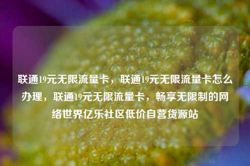 联通19元无限流量卡，联通19元无限流量卡怎么办理	，联通19元无限流量卡，畅享无限制的网络世界亿乐社区低价自营货源站  第1张