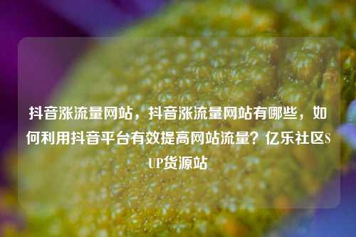 抖音涨流量网站，抖音涨流量网站有哪些，如何利用抖音平台有效提高网站流量？亿乐社区SUP货源站  第1张