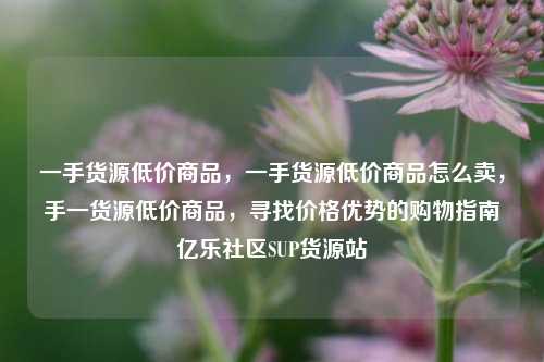 一手货源低价商品，一手货源低价商品怎么卖	，手一货源低价商品，寻找价格优势的购物指南亿乐社区SUP货源站  第1张
