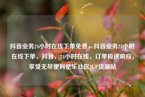 抖音业务24小时在线下单免费，抖音业务24小时在线下单	，抖音，24小时在线，订单极速响应	，享受无尽便利亿乐社区SUP货源站  第1张