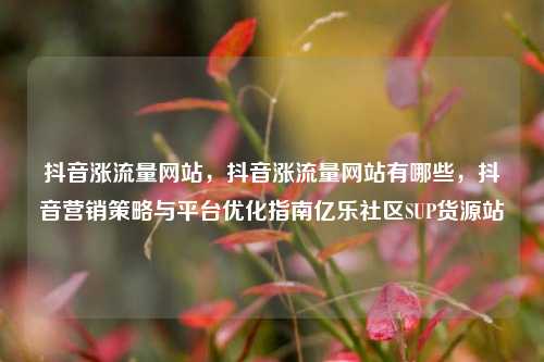 抖音涨流量网站，抖音涨流量网站有哪些，抖音营销策略与平台优化指南亿乐社区SUP货源站  第1张