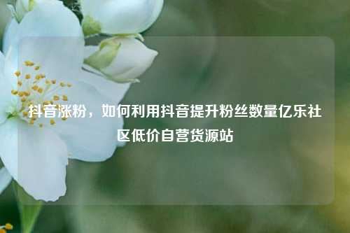 抖音涨粉，如何利用抖音提升粉丝数量亿乐社区低价自营货源站  第1张