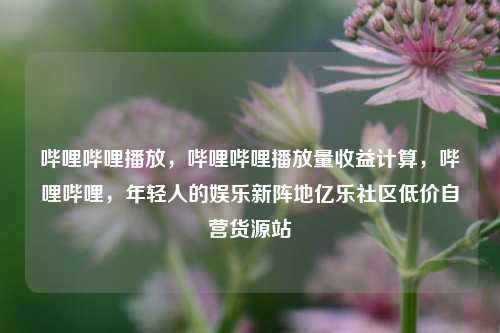 哔哩哔哩播放，哔哩哔哩播放量收益计算	，哔哩哔哩，年轻人的娱乐新阵地亿乐社区低价自营货源站  第1张