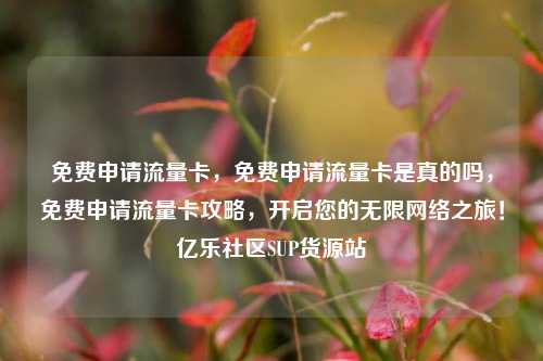 免费申请流量卡，免费申请流量卡是真的吗	，免费申请流量卡攻略，开启您的无限网络之旅！亿乐社区SUP货源站  第1张