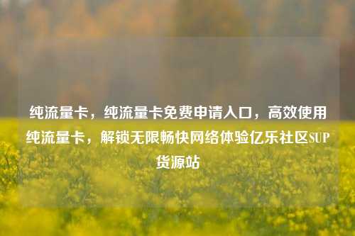 纯流量卡	，纯流量卡免费申请入口，高效使用纯流量卡，解锁无限畅快网络体验亿乐社区SUP货源站  第1张