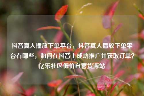 抖音真人播放下单平台，抖音真人播放下单平台有哪些	，如何在抖音上成功推广并获取订单？亿乐社区低价自营货源站  第1张