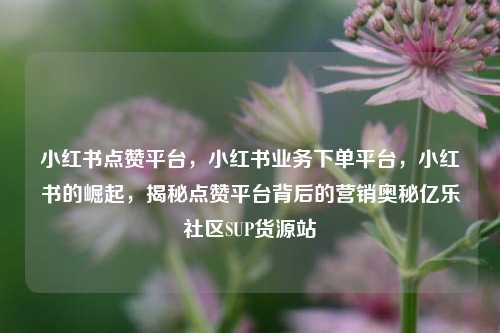小红书点赞平台，小红书业务下单平台，小红书的崛起	，揭秘点赞平台背后的营销奥秘亿乐社区SUP货源站  第1张
