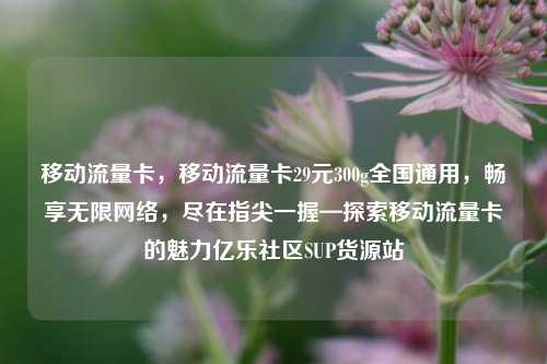 移动流量卡	，移动流量卡29元300g全国通用，畅享无限网络，尽在指尖一握—探索移动流量卡的魅力亿乐社区SUP货源站  第1张