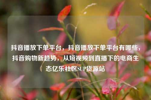 抖音播放下单平台，抖音播放下单平台有哪些	，抖音购物新趋势，从短视频到直播下的电商生态亿乐社区SUP货源站  第1张