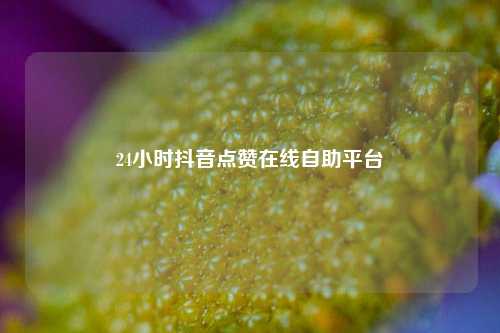 24小时抖音点赞在线自助平台  第1张