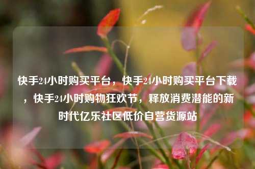 快手24小时购买平台，快手24小时购买平台下载，快手24小时购物狂欢节	，释放消费潜能的新时代亿乐社区低价自营货源站  第1张