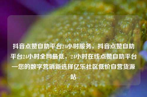 抖音点赞自助平台24小时服务，抖音点赞自助平台24小时全网最低，24小时在线点赞自助平台—您的数字营销新选择亿乐社区低价自营货源站  第1张