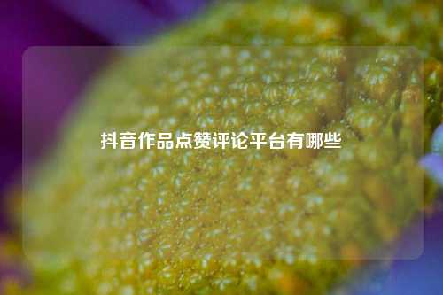 抖音作品点赞评论平台有哪些  第1张