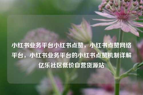 小红书业务平台小红书点赞，小红书点赞网络平台，小红书业务平台的小红书点赞机制详解亿乐社区低价自营货源站  第1张