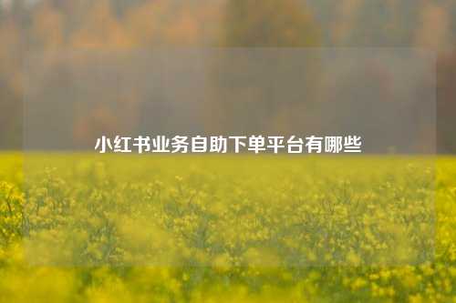 小红书业务自助下单平台有哪些  第1张