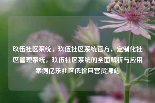 玖伍社区系统，玖伍社区系统官方，定制化社区管理系统	，玖伍社区系统的全面解析与应用案例亿乐社区低价自营货源站  第1张