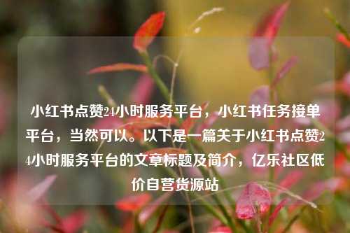 小红书点赞24小时服务平台	，小红书任务接单平台，当然可以。以下是一篇关于小红书点赞24小时服务平台的文章标题及简介，亿乐社区低价自营货源站  第1张