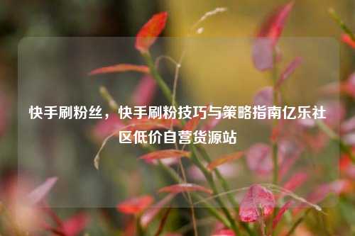 快手刷粉丝，快手刷粉技巧与策略指南亿乐社区低价自营货源站  第1张