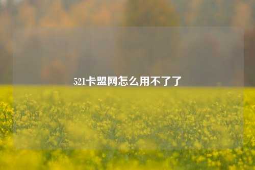 521卡盟网怎么用不了了  第1张