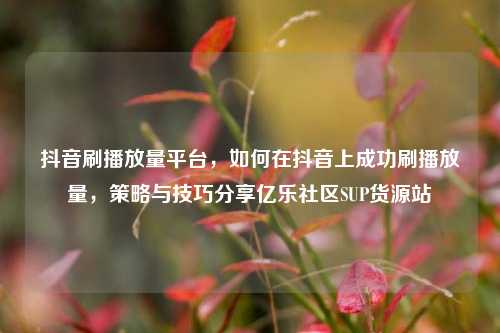 抖音刷播放量平台，如何在抖音上成功刷播放量	，策略与技巧分享亿乐社区SUP货源站  第1张
