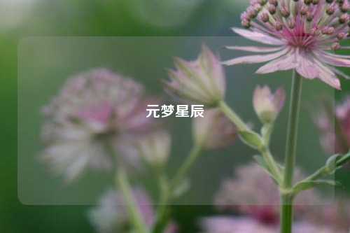 元梦星辰  第1张