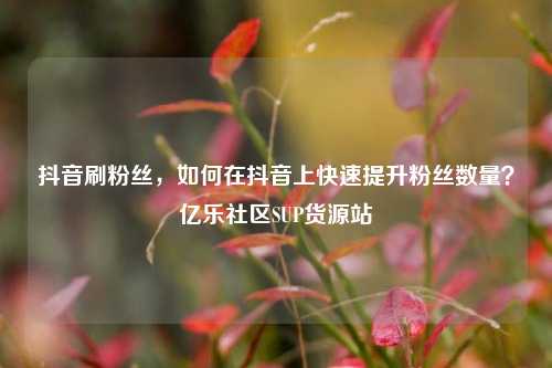 抖音刷粉丝，如何在抖音上快速提升粉丝数量？亿乐社区SUP货源站  第1张