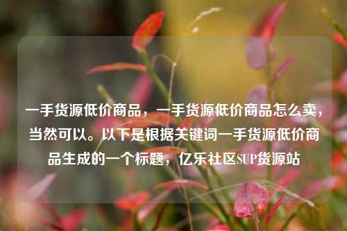 一手货源低价商品，一手货源低价商品怎么卖	，当然可以	。以下是根据关键词一手货源低价商品生成的一个标题，亿乐社区SUP货源站  第1张