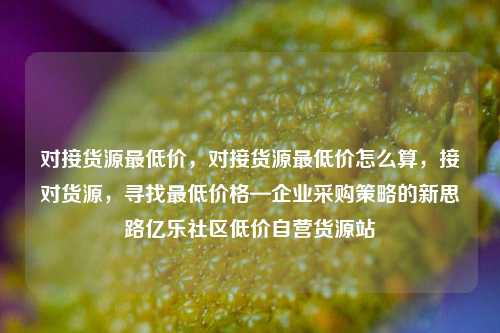 对接货源最低价，对接货源最低价怎么算，接对货源	，寻找最低价格—企业采购策略的新思路亿乐社区低价自营货源站  第1张