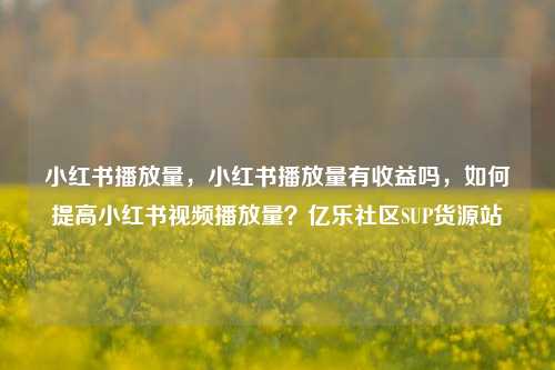小红书播放量，小红书播放量有收益吗	，如何提高小红书视频播放量？亿乐社区SUP货源站  第1张