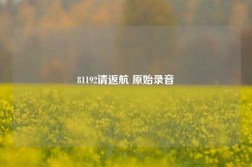 81192请返航 原始录音  第1张