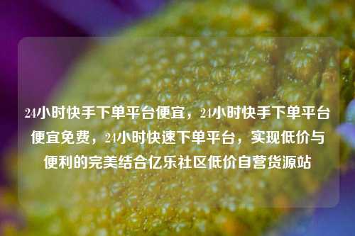 24小时快手下单平台便宜	，24小时快手下单平台便宜免费，24小时快速下单平台，实现低价与便利的完美结合亿乐社区低价自营货源站  第1张