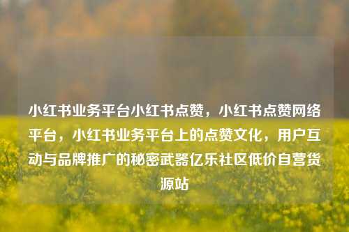 小红书业务平台小红书点赞，小红书点赞网络平台，小红书业务平台上的点赞文化	，用户互动与品牌推广的秘密武器亿乐社区低价自营货源站  第1张