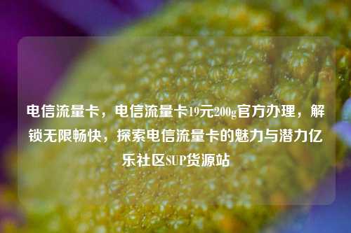 电信流量卡	，电信流量卡19元200g官方办理，解锁无限畅快，探索电信流量卡的魅力与潜力亿乐社区SUP货源站  第1张
