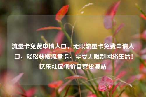 流量卡免费申请入口，无限流量卡免费申请入口	，轻松获取流量卡，享受无限制网络生活！亿乐社区低价自营货源站  第1张