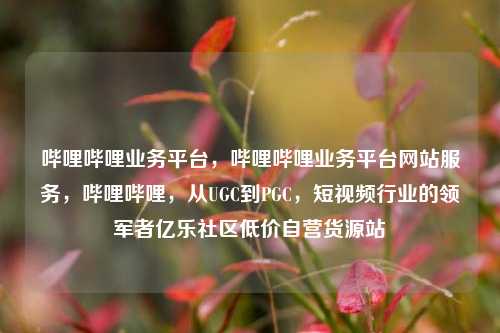 哔哩哔哩业务平台，哔哩哔哩业务平台网站服务，哔哩哔哩	，从UGC到PGC，短视频行业的领军者亿乐社区低价自营货源站  第1张