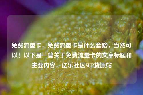 免费流量卡，免费流量卡是什么套路	，当然可以！以下是一篇关于免费流量卡的文章标题和主要内容，亿乐社区SUP货源站  第1张