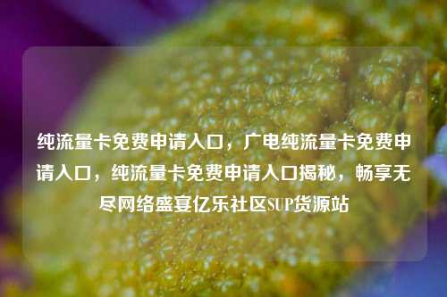 纯流量卡免费申请入口，广电纯流量卡免费申请入口，纯流量卡免费申请入口揭秘	，畅享无尽网络盛宴亿乐社区SUP货源站  第1张