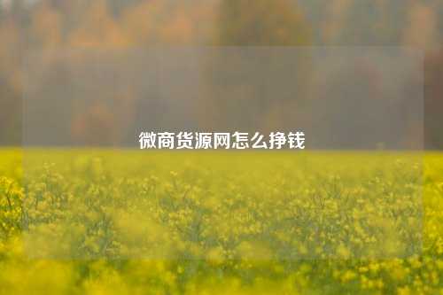 微商货源网怎么挣钱  第1张