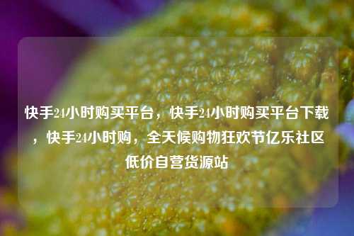 快手24小时购买平台	，快手24小时购买平台下载，快手24小时购，全天候购物狂欢节亿乐社区低价自营货源站  第1张